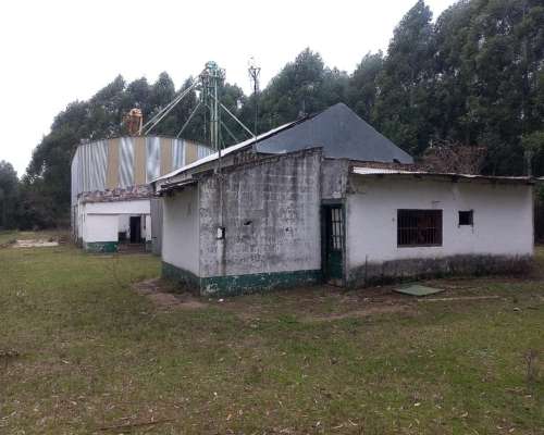 Acopio de Cereales Granos