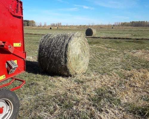 Vendo Campo Bajo Riego PTO X Hacienda