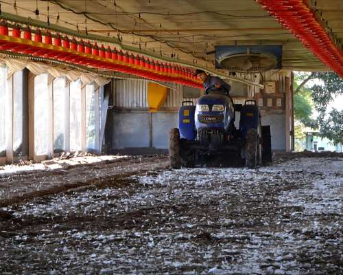 Triturador de Cama Avícola Metalurgica LF