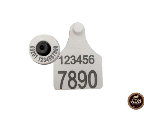 Caravana Electronica. Oficial Senasa. Binomio