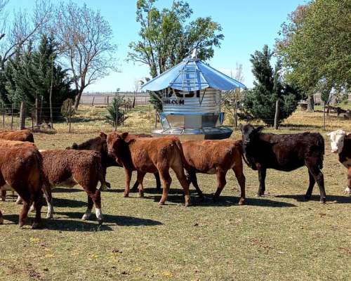 Comedero Autoconsumo Hacienda C3-2 de 3,8 TN- S/iva