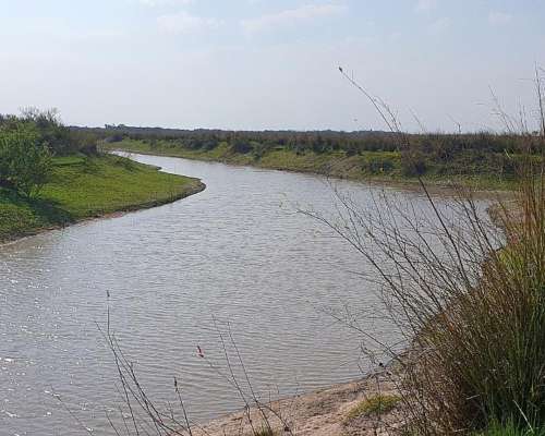 Campo Ganaderos en Villaguay - E. Ríos.