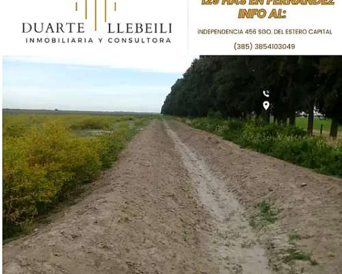 Campo 129 Hectáreas en Fernández Santiago del Estero