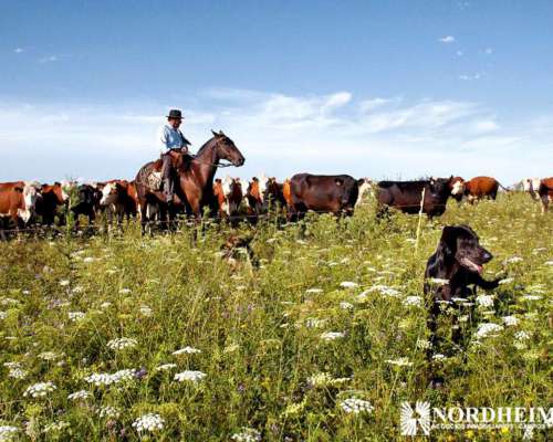Gualeguaychú, Entre Ríos - 860 Ha