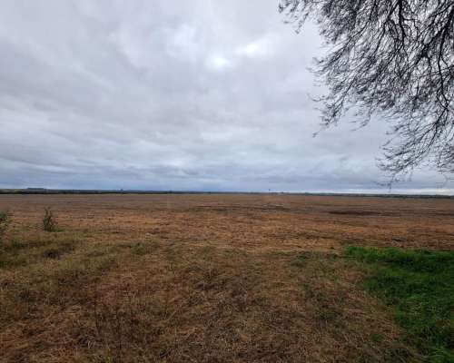 Campo Mixto 122 Ha (amplias Mejoras)