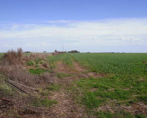 900ha Estancia la Perfección .agrícola. 7 Quintales de Renta