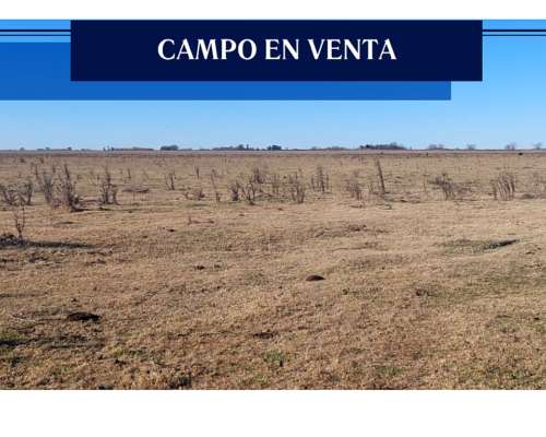 Campo 75 Hectárea Rafael Obligado