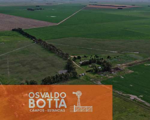 Campo Mixto en Venta 450has Tres Arroyos, Buenos Aires