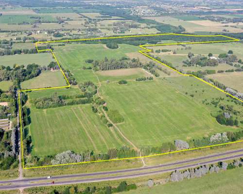 135 Has. Campo en Open Door, Luján