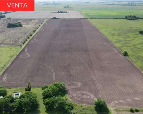 Estancia de 31,5 Hectáreas en San Nicolas