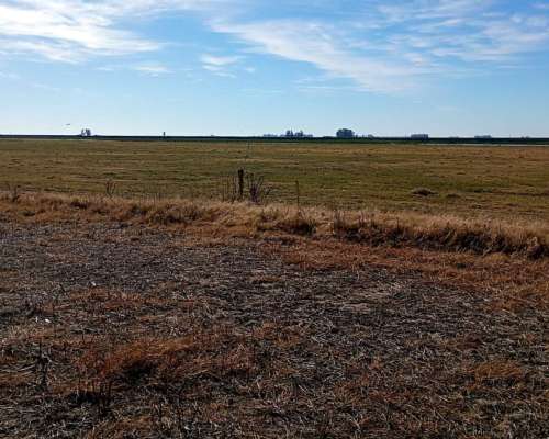 Campo Mixto 70% Agricola 29% Ganadero