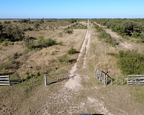 Alquilo. Campo Ganadero. las Avispas