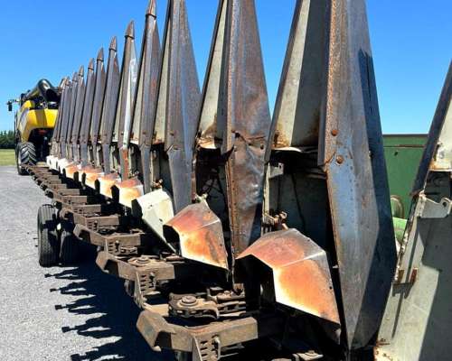 Maicero Maizco Premium de 13 a 52