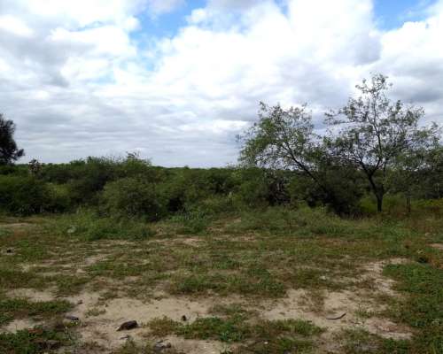 Campo en Loreto Posibilidad de Loteo