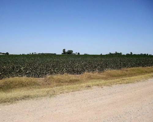 Vendo Estancia en San Justo