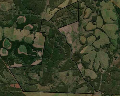 Gdor. Virasoro - 1458 Ha - Corrientes