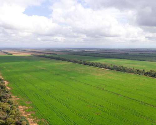 Pcia. de Salta - las Lajitas 8005 Has