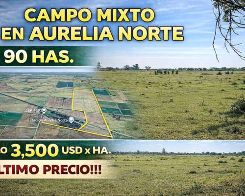 Campo 90 Has Mixtas Aurelia Norte