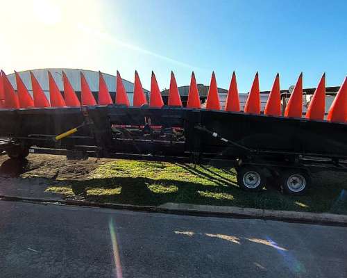 Plataforma Maicero Ombu 2020, año 2021, 20 a 52,