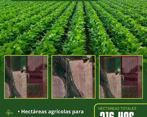 Vendo Campo Agricola Corazón de la Pampa Humeda