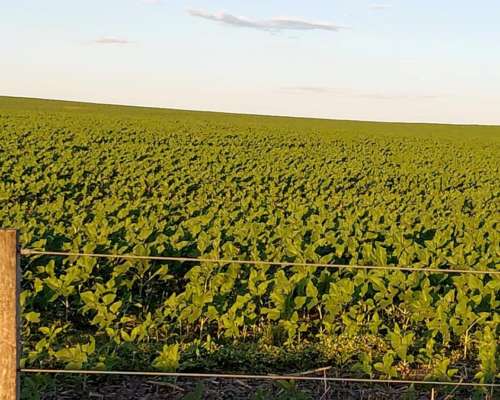 Campo en Venta – Zona Chaján 313 Hectáreas