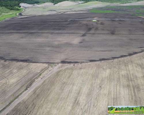 Campos en Venta en el Sudeste de la Provincia de Buenos Aire