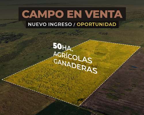 Bdo de Irigoyen 50 Has. Agrícola-ganadero. Campo en Venta.