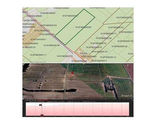 Campo 90 Has en Pavon, Santa FE 🌻🐄☘️