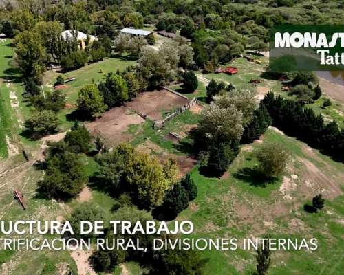 San Javier - 1250has