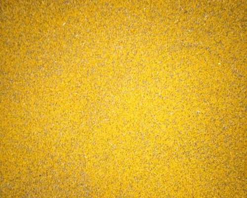 Semilla de Melilotus Limpio a Granel o en Bolsas