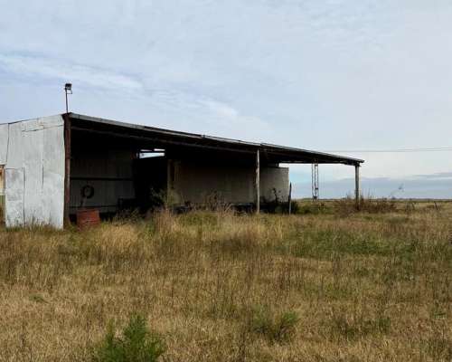 Campo en Venta Colonia Belgrano 287 Has Ganaderas