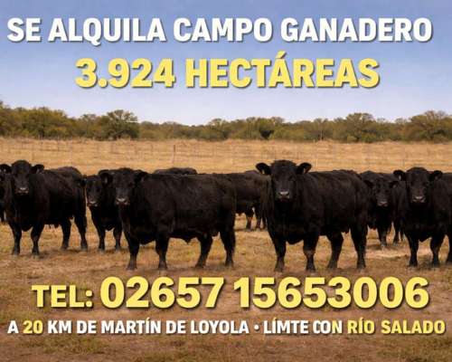 Campo en Alquiler en la Provincia de San Luis Exclusivamente