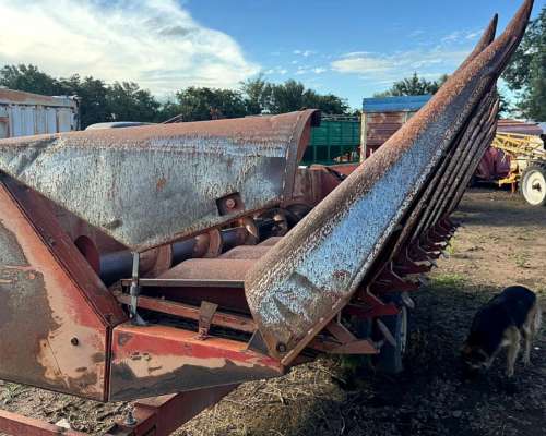 Maicero 8 / 52 Mainero 2000