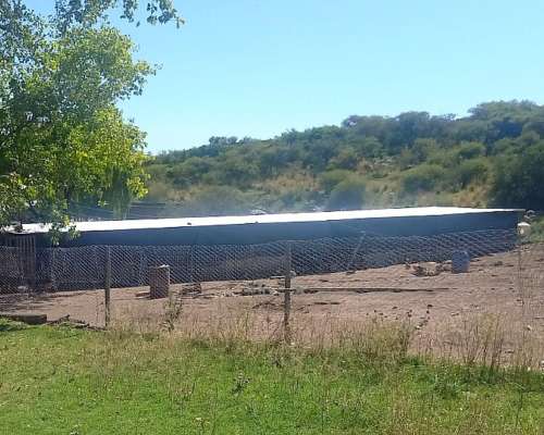 Campo Ganadero en Catamarca el Taco Ancasti