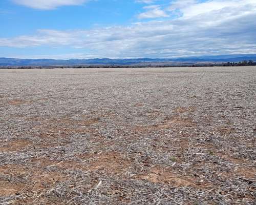Campo en Bajo Chico