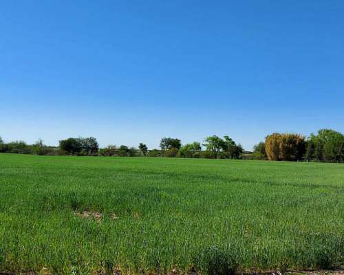 66 Ha Paraná. Casco de Estancia
