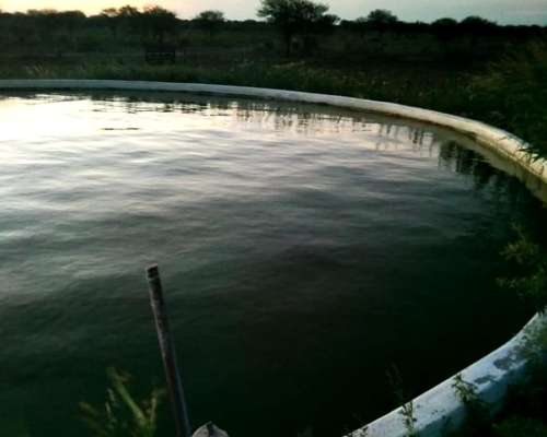 Campo Ganadero en San Luis, de Beazley. 6.000 Hectareas