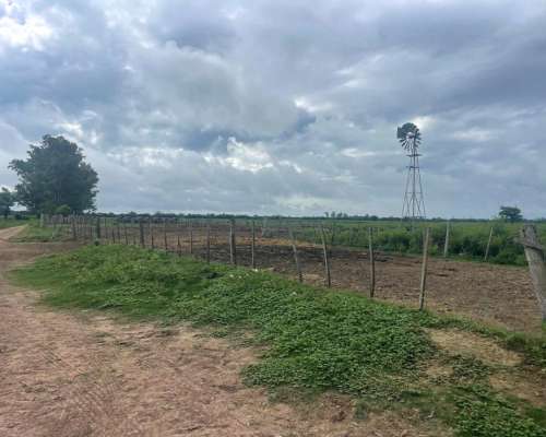 Santa Clara de Buena Vista, las Colonias, Santa FE - 179 Ha