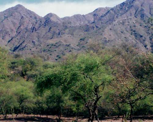 Vendo 20.000 Ha en la Rioja Desarrollo Agricola Ganadero