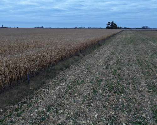 40 HA. Suelo Clase 1 Sobre Ruta. San Genaro (santa FE)