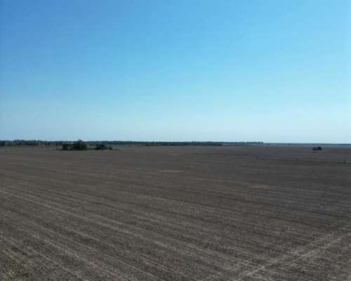 1000 Hectáreas Mixtas. Sobre Ruta.