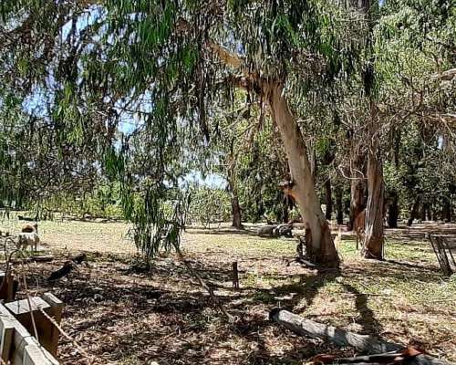 2 Hectáreas Linderas al Barrio Ebenezer Desarrollable