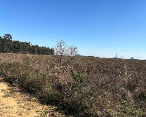 San Miguel 680 Has Forestal/ganadero Buen Precio