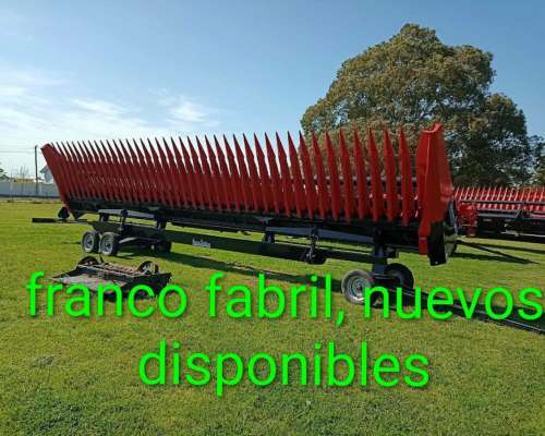 Girasoleros de 19 y 21 a 52 Disponibles