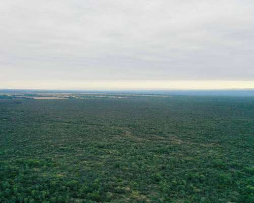 Pcia. de Santiago del Estero - Tapso 1948 Has