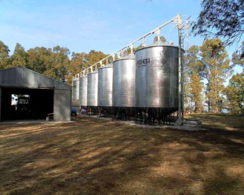 Transportador Fadesi Cereales Noria Barato Movi
