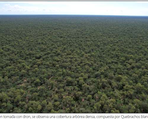 Campo – 5.119 Ha – Figueroa, Santiago del Estero 250 USD