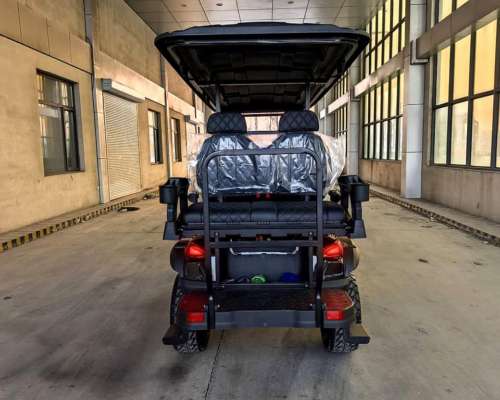 Golf Cart Electric Nexus 2/4/6 Asientos + Cajon