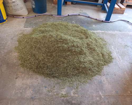 Peletizadora Mod MP300 - Pellet Alfalfa, Balanceados, ETC