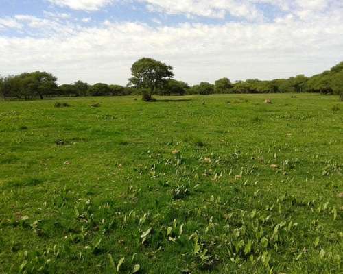 462 Hectáreas Ganadera a la Venta